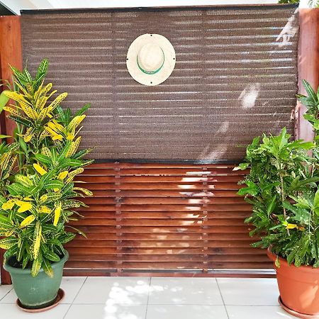 La Belle Martinique Villa แซ็งต์-ลูซ ภายนอก รูปภาพ