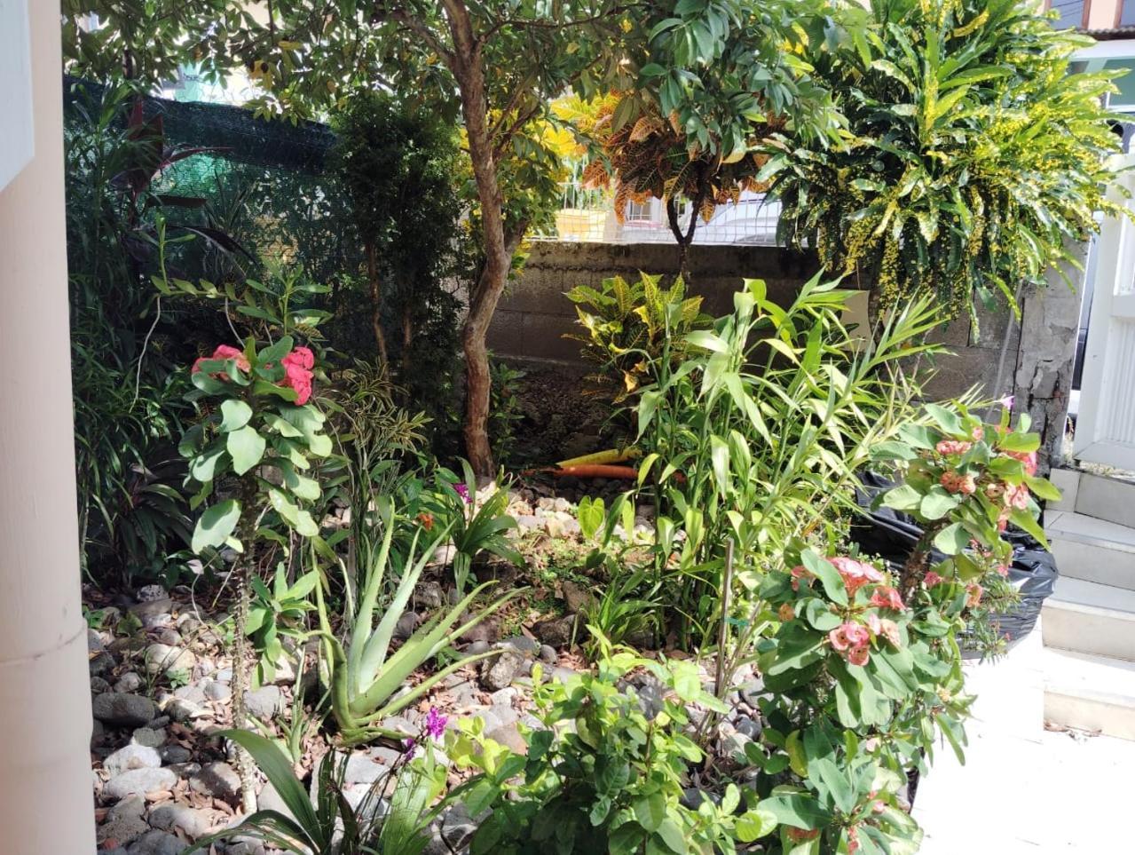 La Belle Martinique Villa แซ็งต์-ลูซ ภายนอก รูปภาพ