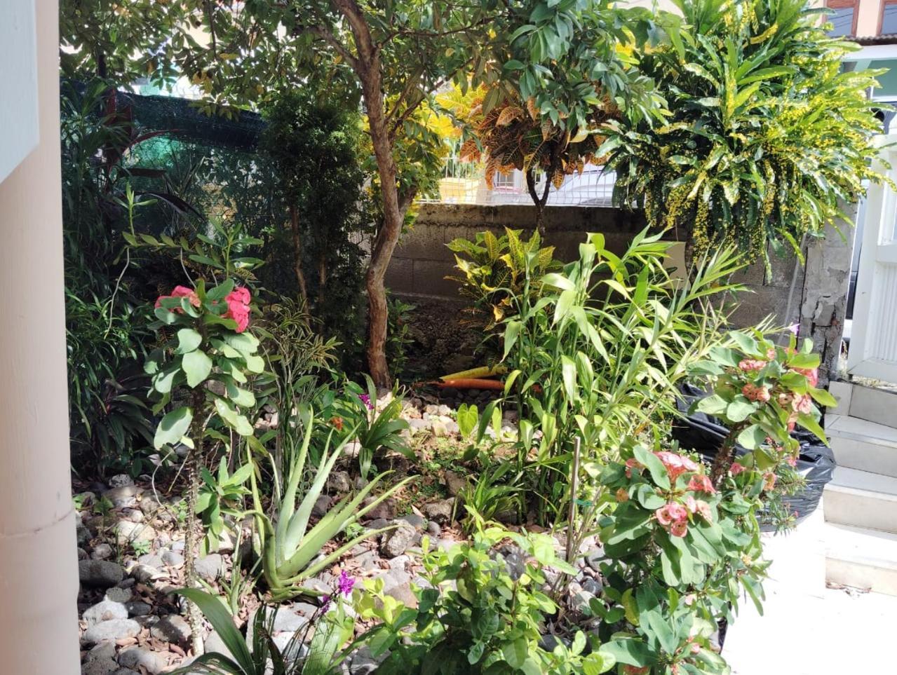 La Belle Martinique Villa แซ็งต์-ลูซ ภายนอก รูปภาพ